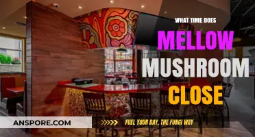 Mellow Mushroom Closing Time: When Does the Pizza Party End?