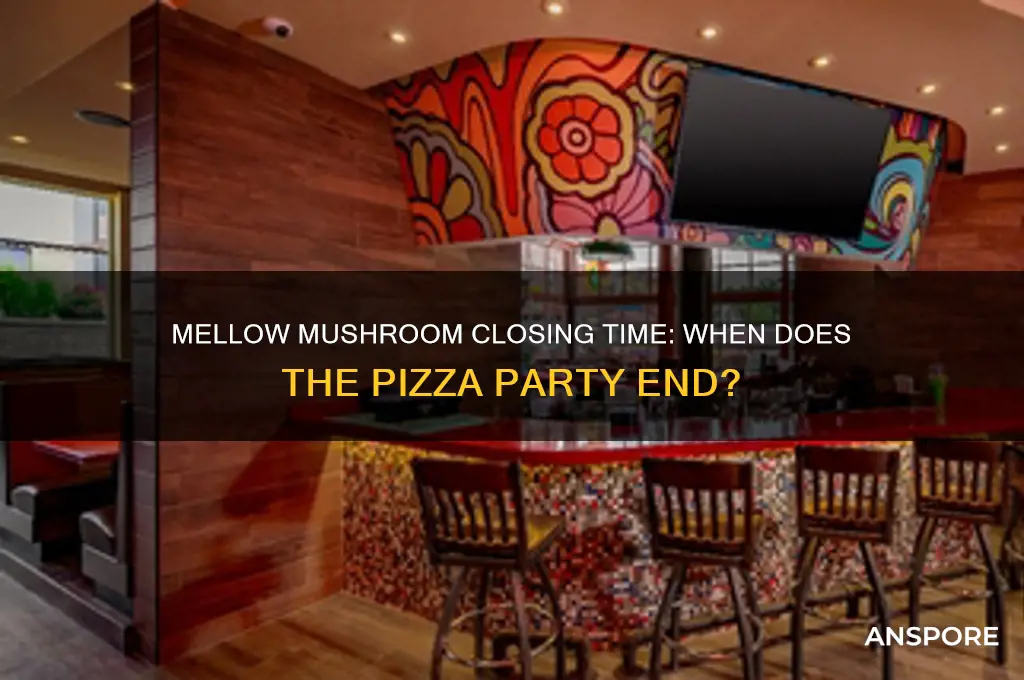 what time does mellow mushroom close