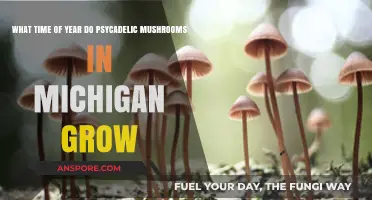 When Do Psychedelic Mushrooms Grow in Michigan's Seasons?