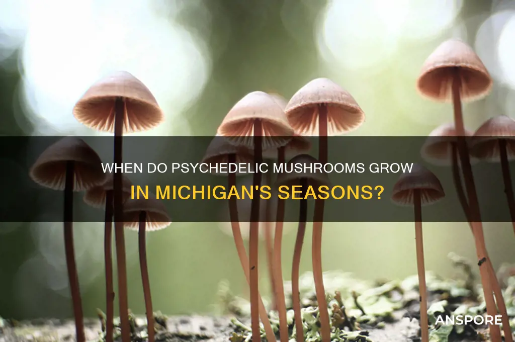 what time of year do psycadelic mushrooms in michigan grow