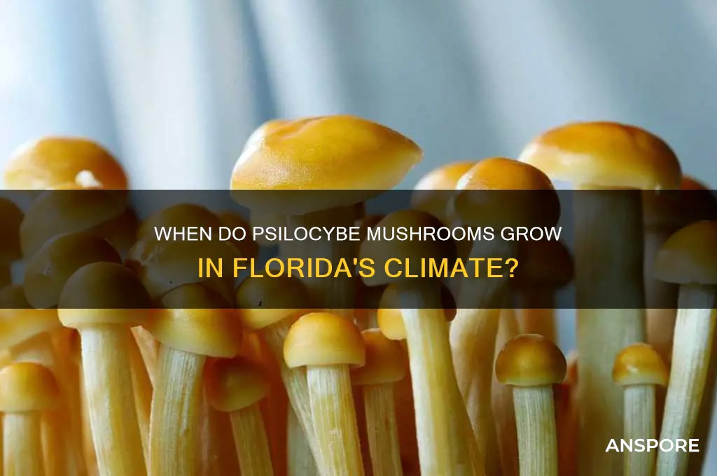 what time of year to psilocybe mushrooms grow in florid