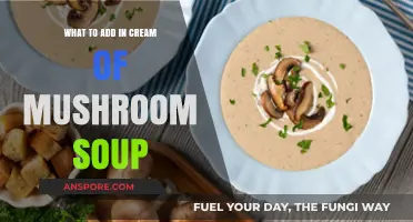 Enhance Your Cream of Mushroom Soup: Delicious Add-Ins to Try Today