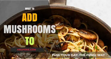 Mushroom Magic: Elevate Your Everyday Meals