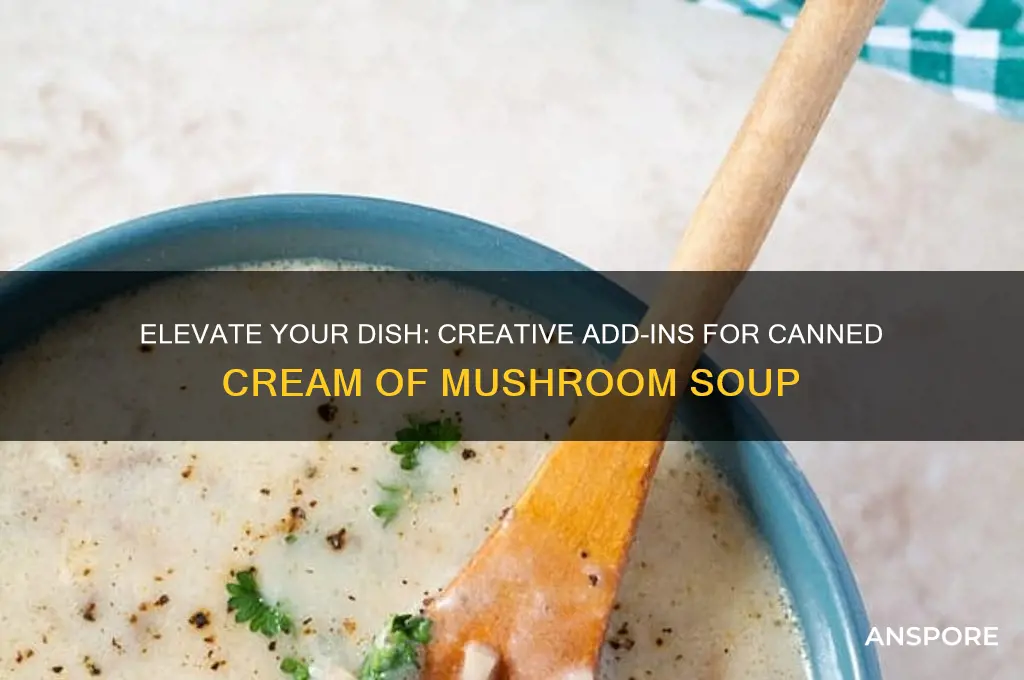 what to add to canned cream of mushroom soup