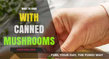 Delicious Recipes Using Canned Mushrooms: Quick, Easy, and Flavorful Ideas