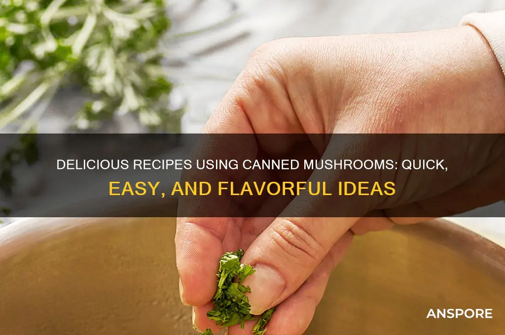 what to cook with canned mushrooms