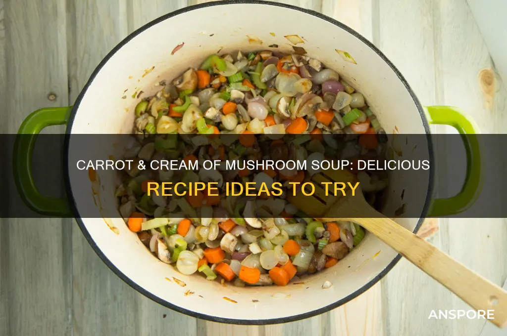what to cook with carrots and cream of mushroom soup