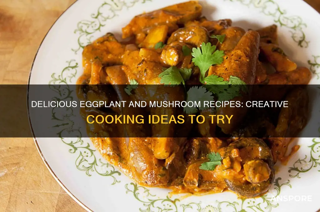 what to cook with eggplant and mushrooms