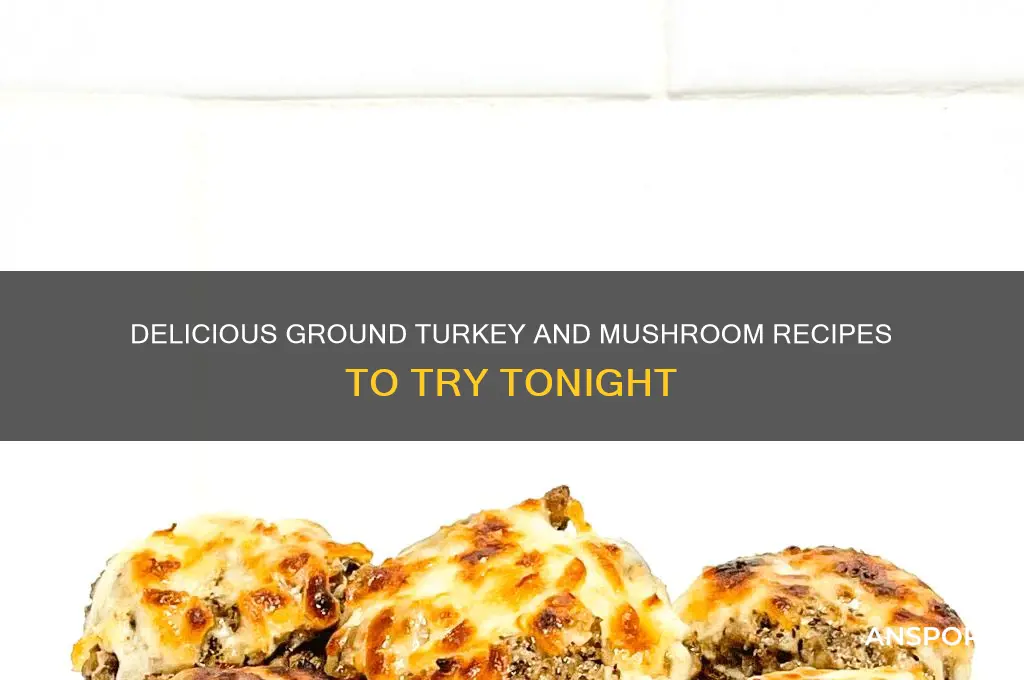 what to cook with ground turkey and mushrooms