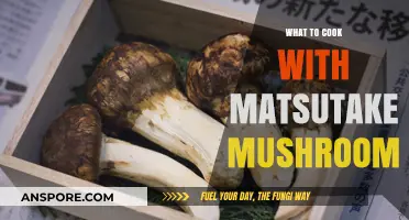 Delicious Matsutake Mushroom Recipes: Creative Cooking Ideas for Gourmet Dishes