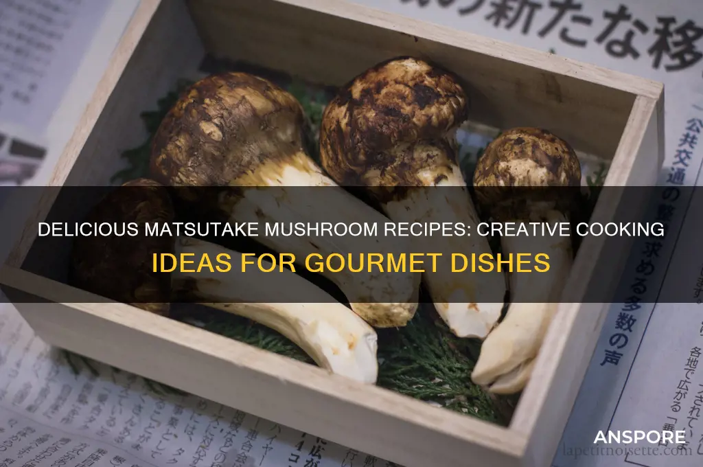 what to cook with matsutake mushroom