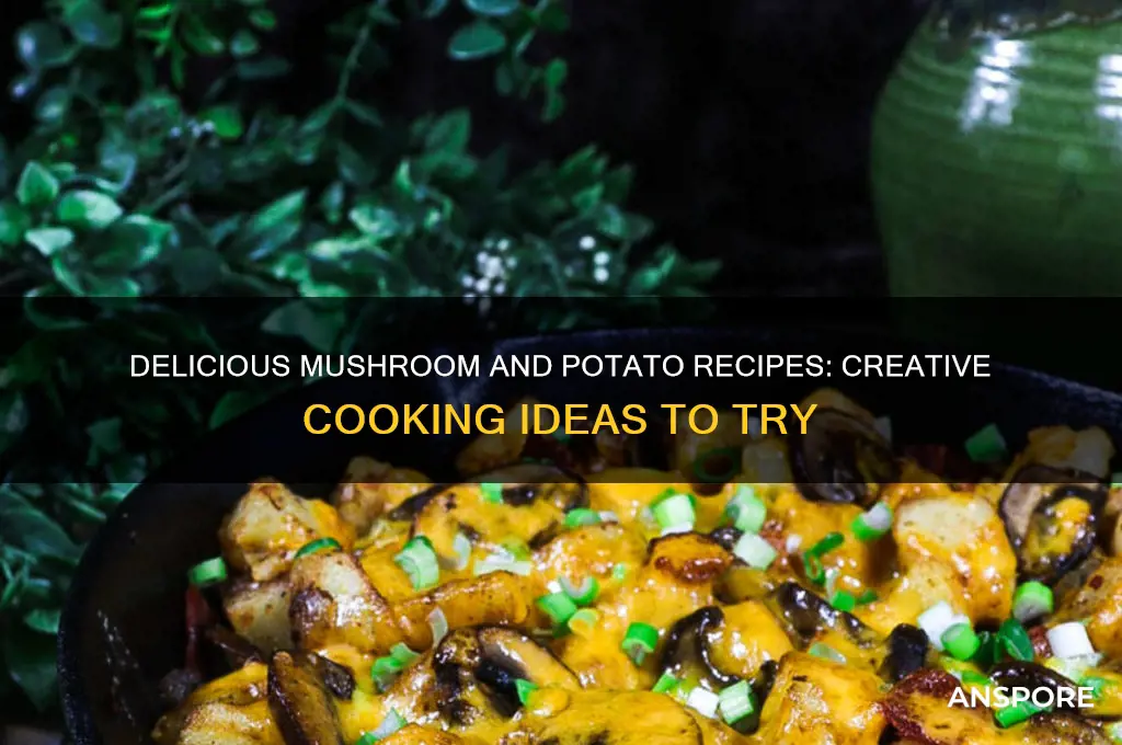 what to cook with mushrooms and potatoes