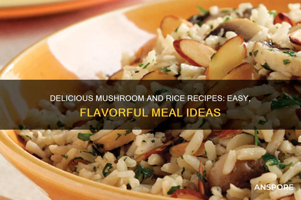 what to cook with mushrooms and rice