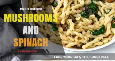 Delicious Mushroom Spinach Recipes: Easy, Healthy, and Flavorful Meal Ideas