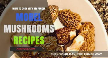 Delicious Frozen Morel Mushroom Recipes: Creative Cooking Ideas to Try