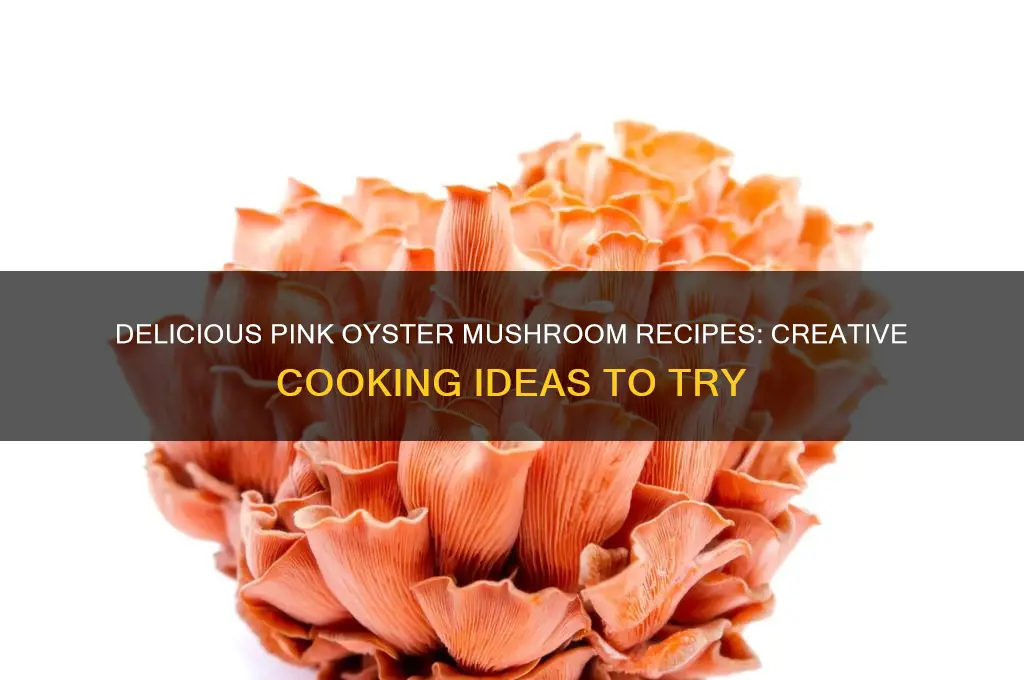 what to cook with pink oyster mushrooms