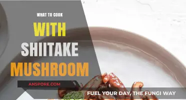 Delicious Shiitake Mushroom Recipes: Creative Cooking Ideas for Umami Flavor