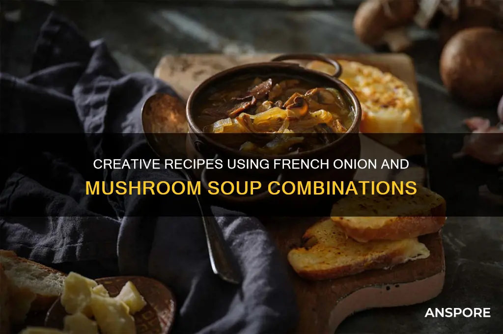 what to cook woth french onion soup and mushroom soup