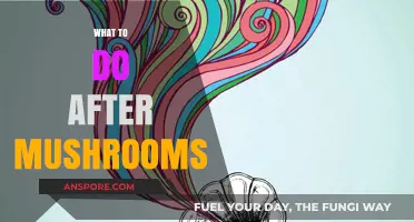 Post-Psychedelic Integration: Steps for After a Mushroom Trip