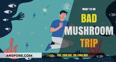 Navigating a Bad Mushroom Trip: Essential Tips for Recovery and Calm