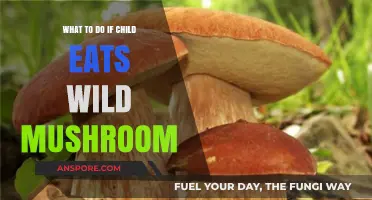 Child Ate a Wild Mushroom? Immediate Steps to Take and When to Seek Help