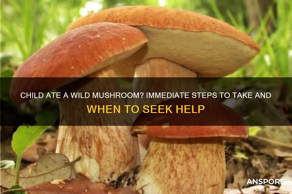 what to do if child eats wild mushroom