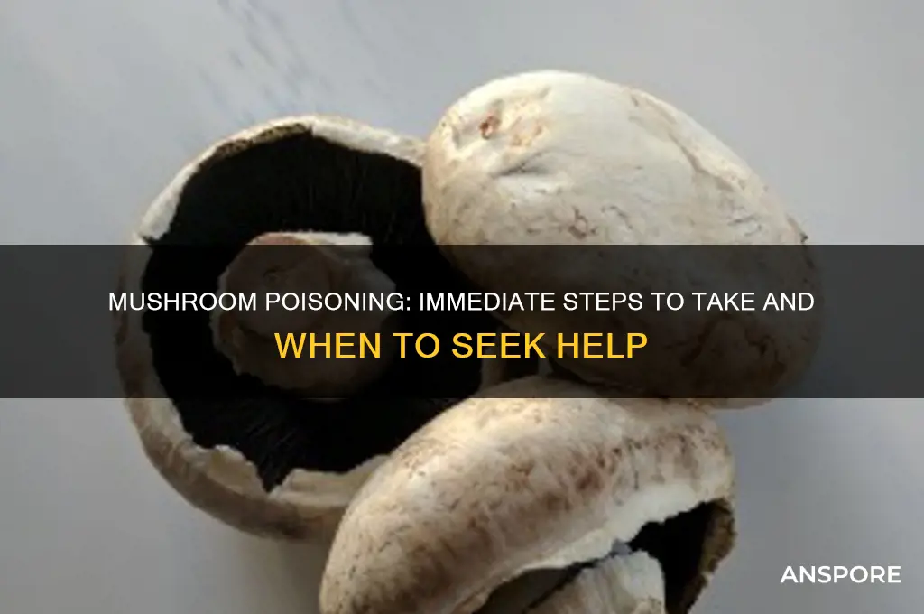 what to do if poisoned by mushrooms