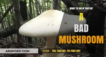 Ate a Bad Mushroom? Immediate Steps to Take and When to Seek Help