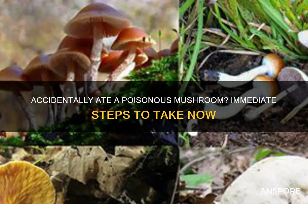 what to do if you eat a poisnous mushroom
