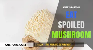 Ate Spoiled Mushrooms? Immediate Steps to Take for Your Safety
