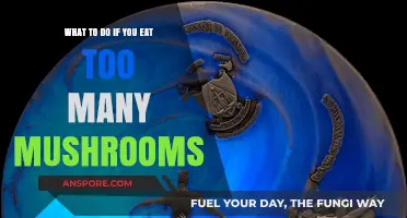 Overeaten Mushrooms? Quick Steps to Ease Discomfort and Stay Safe