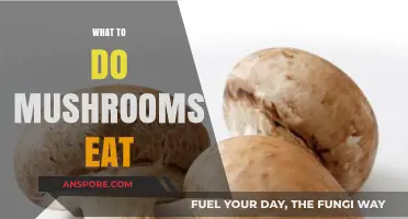 What Do Mushrooms Eat? Unveiling Their Unique Nutritional Secrets