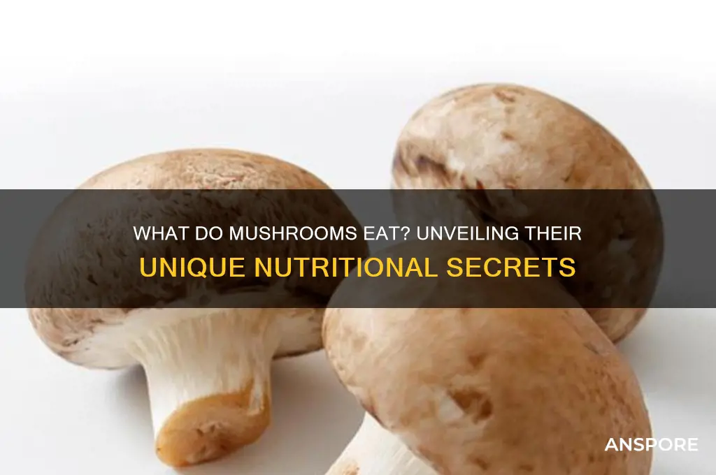 what to do mushrooms eat