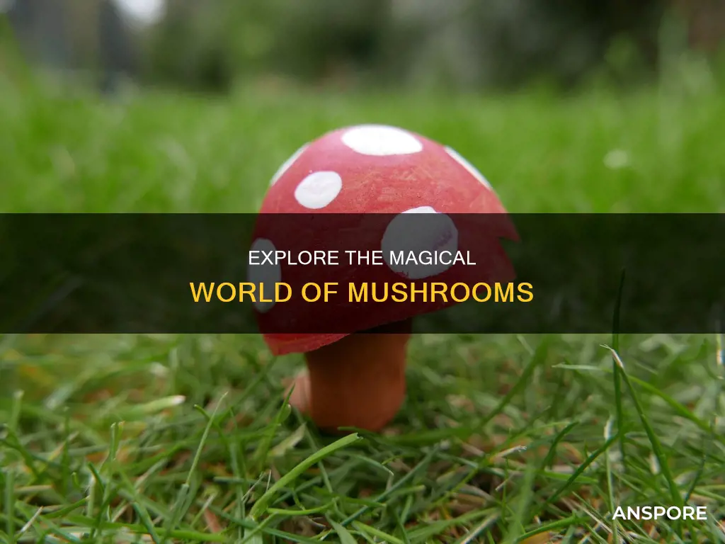 what to do on mushroom