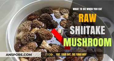 Raw Shiitake Mushrooms: Symptoms, Remedies, and Prevention Tips