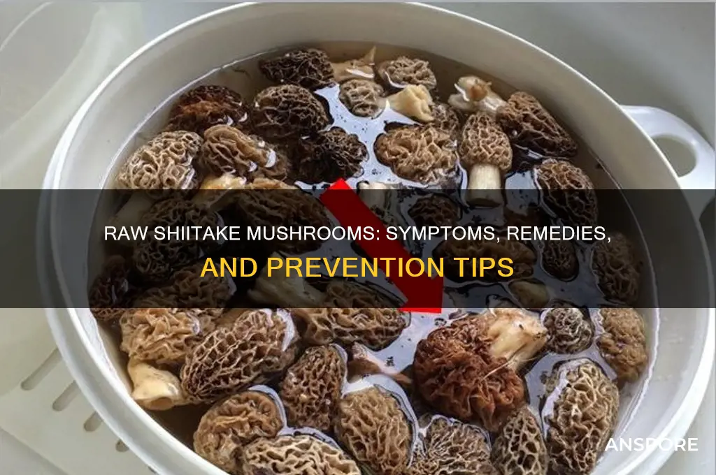 what to do when you eat raw shiitake mushrooms