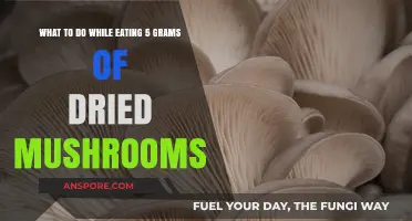 Exploring Mindful Practices to Enhance Your 5-Gram Mushroom Experience