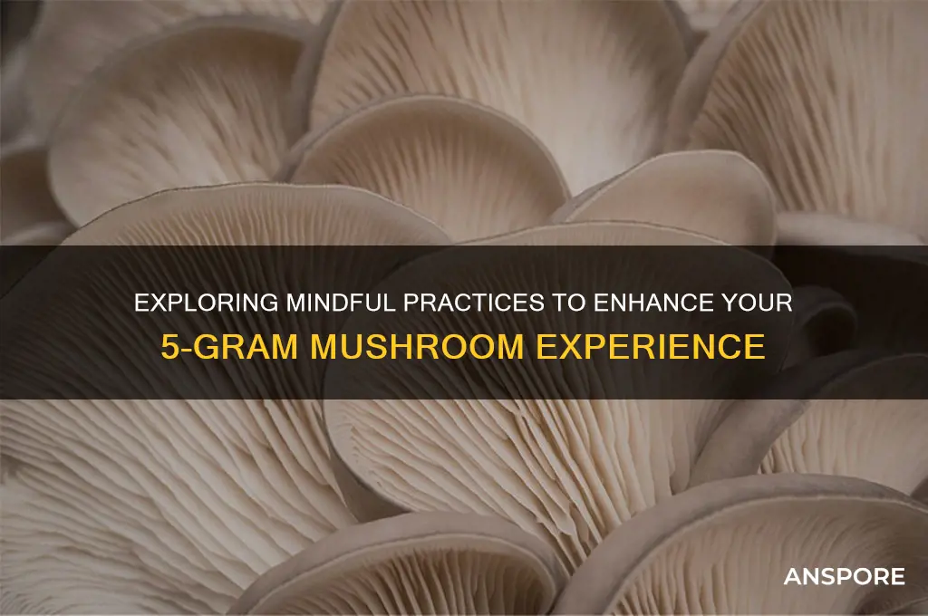 what to do while eating 5 grams of dried mushrooms