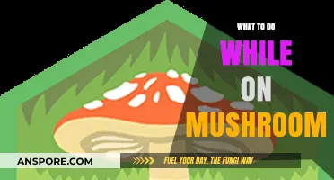 Exploring Mindfully: Creative and Safe Activities While on Mushrooms