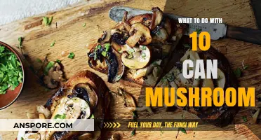 Creative Ways to Use 10 Cans of Mushrooms in Delicious Recipes