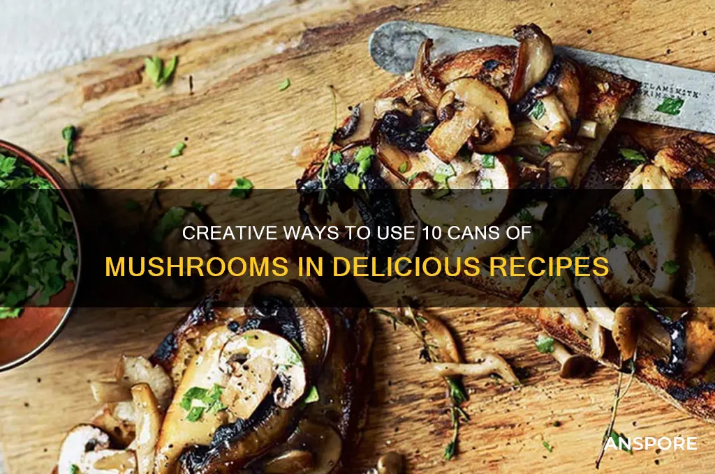 what to do with 10 can mushrooms