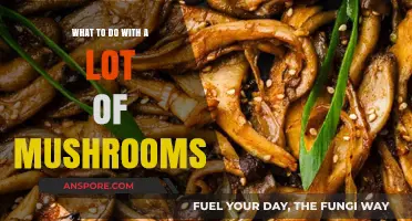 Creative Ways to Use an Abundance of Fresh Mushrooms