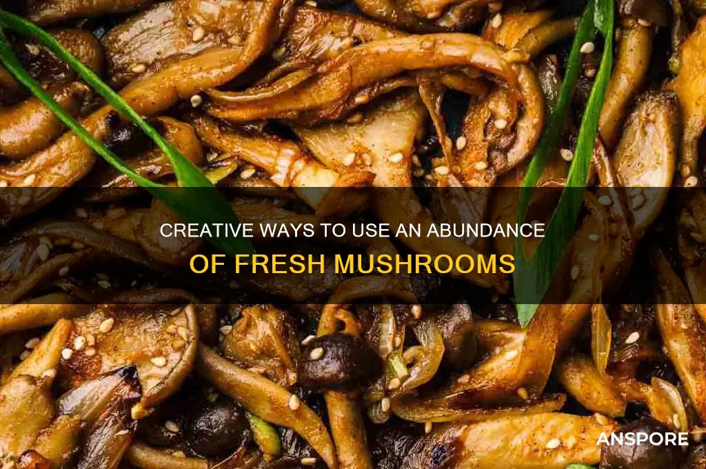 what to do with a lot of mushrooms