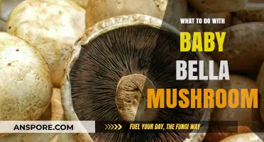 Delicious Baby Bella Mushroom Recipes and Creative Cooking Ideas