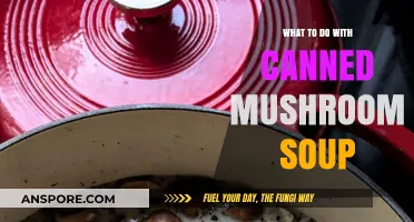 Creative Ways to Use Canned Mushroom Soup in Everyday Meals