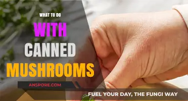 Creative Ways to Use Canned Mushrooms in Everyday Cooking