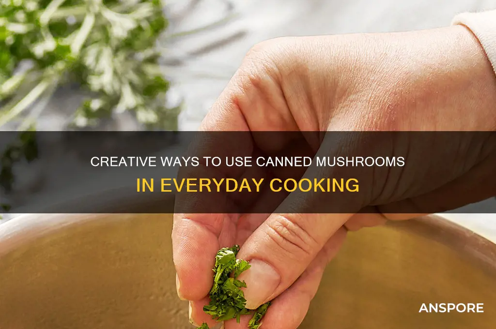 what to do with canned mushrooms