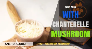 Creative Ways to Cook and Enjoy Chanterelle Mushrooms at Home