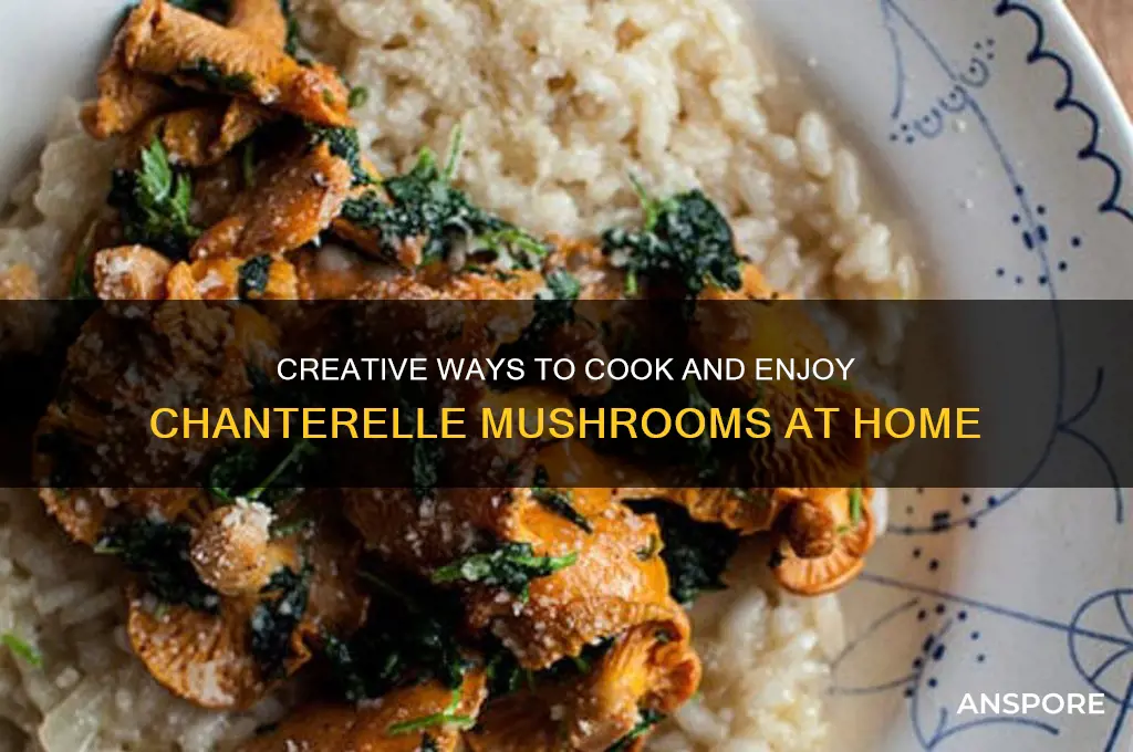 what to do with chanterelle mushrooms