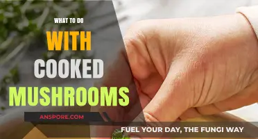 Creative Ways to Use Cooked Mushrooms in Delicious Recipes